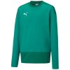 Puma teamGoal 23 Training Sweat - pepper green