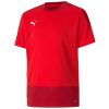 Puma teamGoal 23 Training Jersey - puma red