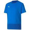 Puma teamGoal 23 Training Jersey - electric blue lemonade