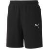 Puma teamGoal 23 Casuals Short - puma black