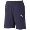 Puma teamGoal 23 Casuals Short - peacoat