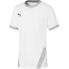 Puma teamGoal 23 Trikot - puma white