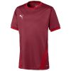 Puma teamGoal 23 Trikot - cordovan