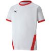Puma teamGoal 23 Trikot - puma white
