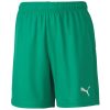 Puma teamGoal 23 Knit Short - pepper green