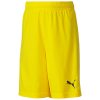 Puma teamGoal 23 Knit Short - cyber yellow