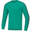 Jako Torwarttrikot Striker 2.0 - türkis/anthrazit