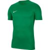 Nike Park VII Trikot - pine green/white