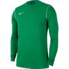 Nike Park 20 Crew Top - pine green/white/whi