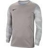Nike Park IV GK Torwart Trikot - pewter grey/white/bl
