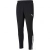 Puma teamLiga Trainingshose - puma black