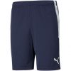Puma teamLiga Training Short - peacoat