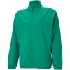 Puma teamLiga Sideline Präsentationsjacke - pepper green