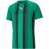 Puma teamLiga Striped Trikot Jersey - pepper green