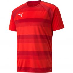 Puma teamVision Trikot Jersey - puma red