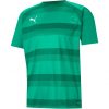 Puma teamVision Trikot Jersey - pepper green