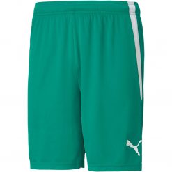 Puma teamLiga Short - pepper green