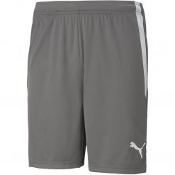Puma teamLiga Short - smoked pearl