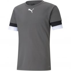 Puma teamRise Trikot Jersey - smoked pearl