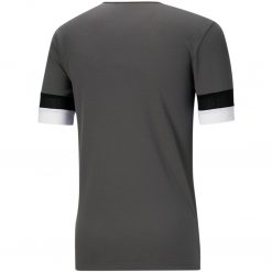 Alternative view of Puma teamRise Trikot Jersey - smoked pearl