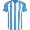 Jako Trikot Inter - skyblue/weiß