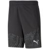 Puma teamCup 23 Training Shorts - puma black
