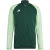 adidas Tiro 23 Competition Training Jacket - dark green