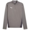 Puma teamGoal 24 Training 1/4 Zip Top - Cast Iron