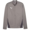 Puma teamGoal 24 Trainingsjacke - Cast Iron