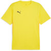Puma teamGoal 24 Jersey - Faster Yellow