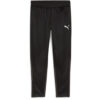 Puma teamGoal 24 Trainingshose - Puma Black