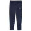 Puma teamGoal 24 Trainingshose - Puma Navy