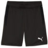 Puma teamGoal 24 Training Short - Puma Black
