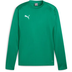 Puma teamGoal 24 Training Sweat - Sport Green