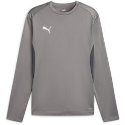 Puma teamGoal 24 Training Sweat - Cast Iron