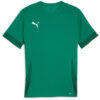 Puma teamGoal 24 Matchday Trikot Jersey - Sport Green