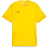 Puma teamGoal 24 Matchday Trikot Jersey - Faster Yellow