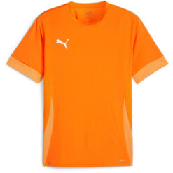 Puma teamGoal 24 Matchday Trikot Jersey - Rickie Orange