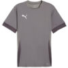 Puma teamGoal 24 Matchday Trikot Jersey - Cast Iron