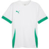 Puma teamGoal 24 Matchday Trikot Jersey - Puma White