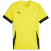Puma teamGoal 24 Matchday Trikot Jersey - Fluro Yellow Pes