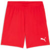 Puma teamGoal 24 Shorts - Puma Red