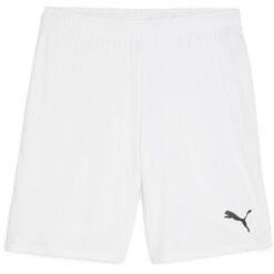 Puma teamGoal 24 Shorts - Puma White
