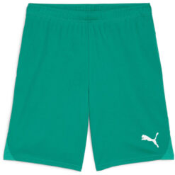 Puma teamGoal 24 Shorts - Sport Green