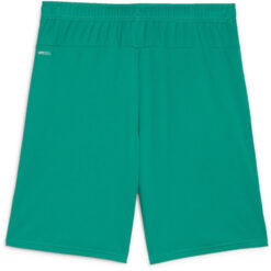 Alternative view of Puma teamGoal 24 Shorts - Sport Green
