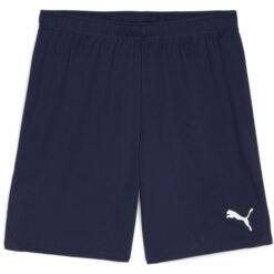 Puma teamGoal 24 Shorts - Puma Navy