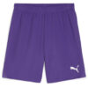 Puma teamGoal 24 Shorts - Team Violet