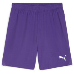 Puma teamGoal 24 Shorts - Team Violet