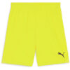 Puma teamGoal 24 Shorts - Fluro Yellow Pes