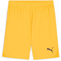 Puma teamGoal 24 Shorts - Sun Stream